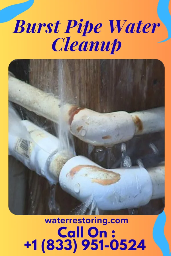 Burst Pipe Water Cleanup in Rio, VA