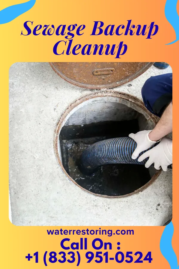 Sewage Backup Cleanup in Rio, VA