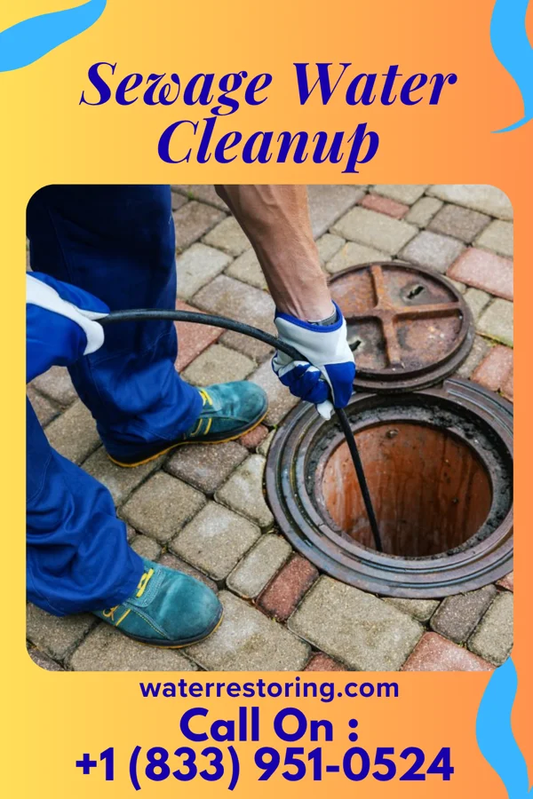Sewage Water Cleanup in Rio, VA